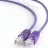 Patchcord Cablexpert PP12-0.5M/V Purple, 0.5m UTP, Cat.5E