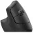 Mouse wireless LOGITECH Lift Vertical Black