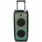 Boxa Eden Party Speaker ED-1016 with 2 Wireless Microphones 100W, 10", Black