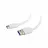 Cablu USB GEMBIRD CCP-USB3-AMCM-W-0.5M, 0.5 m, White