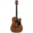 Chitara Ibanez
 Acoustic AW54 OPN