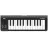 Clapa Korg


 MicroKey-25 midi keyboard