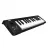 Clapa Korg


 MicroKey-25 midi keyboard