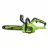 Цепная бензопила GreenWorks Set GD24CS30 30cm 7.8 m/s 24V 2Ah + incarcator