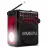 Boxa SVEN SVEN SRP-355 Red, FM/AM/SW Radio, 3W RMS, 8-band radio receiver, built-in audio files player from USB-fash, microSD and SD card storage devices, telescopic swivel antenna, built-in battery