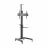 Suport perete GEMBIRD Height adjustable TV floor stand with caster wheels, 37" - 70", Gembird "TVS-70T-02", max. 70 kg, max. VESA 600 x 400, Tilt range: +5 ° ~ -12 °, Height adjustable shelf for equipment/camera, Dimensions: 772 x 648 x 2157 mm, Steel, Cable management, B