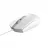 Mouse TRUST Trust TM-101W Optical Mouse, 1200 dpi, 3 button, right-handed, left-handed, USB, Cable 1.6m, White