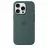 Husa APPLE iPhone16 Pro Silicone Case with MagSafe-LakeGreen,ModelA3315