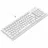 Gaming keyboard Havit Gaming Keyboard Havit KB885L, Mechanical, Red SW, Hot-Swappable, RGB, 95 Keys, 50M, 1.8m, USB, EN, White
.                                                                                                                                           
Back