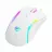 Gaming Mouse Havit Gaming Mouse Havit MS1033, 8000dpi, 9 buttons, Ergonomic, Programmable, RGB, 126g, 1.6m, USB, White
.                                                                                                                          
RGB backlit gaming mouse
S