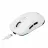 Игровая мышь Havit Gaming Wireless Mouse Havit MS969SE, 800-8000dpi, 6 buttons, Ambidextrous, Programmable, 59g, RGB, 600mAh, 1.6m, USB+2.4Ghz+ BT, White