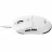 Gaming Mouse Havit Gaming Wireless Mouse Havit MS969SE, 800-8000dpi, 6 buttons, Ambidextrous, Programmable, 59g, RGB, 600mAh, 1.6m, USB+2.4Ghz+ BT, White
.                                                                                                                 
