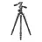 Trepied VANGUARD Tripod/Monopod Vanguard VEO3T+ 234AP