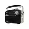 Boxa  SVEN SRP-500 Black, FM/AM/SW Radio, 3W RMS, 8-band radio receiver, built-in audio files player from USB-fash, microSD and SD card storage devices, telescopic swivel antenna, built-in battery 