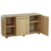 Comoda Sonoma Mstb
 MALAGA 110x60x38