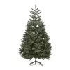 Brad decorativ  Divi trees Collection Norman 2,4 * 80 