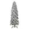 Brad decorativ  Divi trees Collection Serbia 2,4 * 55 