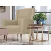 Fotoliu Stofa Dogtas FELIS Armchair, GK:2257, AR:CVZ, Velvet beige, walnut+gold 