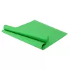 Коврик для йоги 173x61 cm Arena 840353 PVC 3 mm, verde 