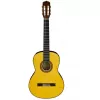 Chitara  Aria 
 A-30S N 