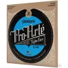 Set de corzi  D'Addario

 EJ46 chitara 