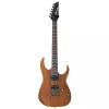 Chitara  Ibanez
 RG421 MOL (Mahogany oil) 