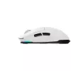 Gaming Mouse  Havit Gaming Wireless Mouse Havit MS969SE, 800-8000dpi, 6 buttons, Ambidextrous, Programmable, 59g, RGB, 600mAh, 1.6m, USB+2.4Ghz+ BT, White
.                                                                                                                 
 