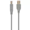 Кабель USB AM, BM, USB2.0 GEMBIRD CCP-USB2-AMBM-6G 1.8m, Grey